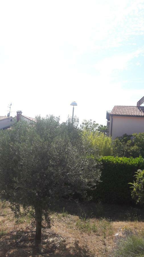Apartment Radovan Poreč Extérieur photo